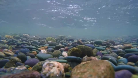 The rocky bottom of a mountain river with a fast current and clear water. Stock-Footage 301692768