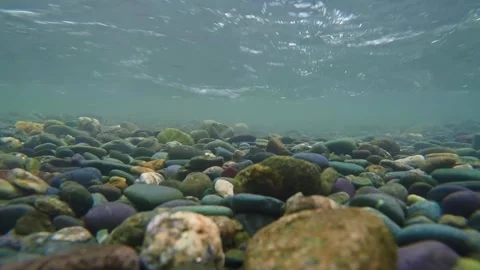 The rocky bottom of a mountain river with a fast current and clear water. Stock-Footage 303359446