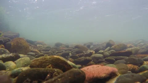 The rocky bottom of a mountain river with a fast current and clear water. Stock-Footage 303360170