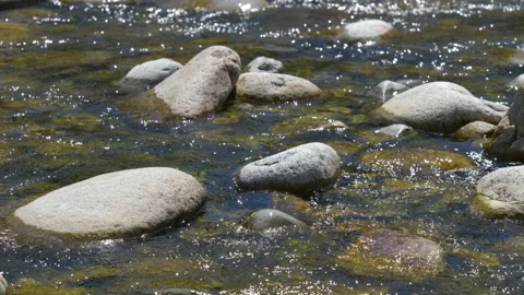 Rocky bottom of a mountain river 스톡 동영상 230982804