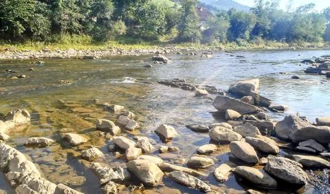 Rocky bottom of a mountain river in the rays of the sun, Carpathian Stock Photos