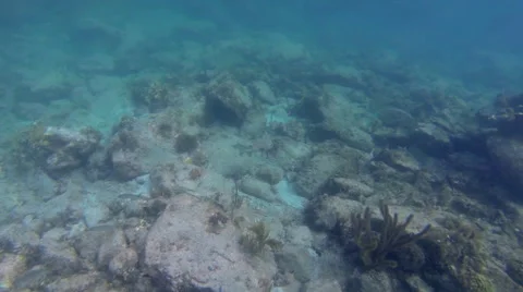A rocky bottom of the ocean Video stock 42728948