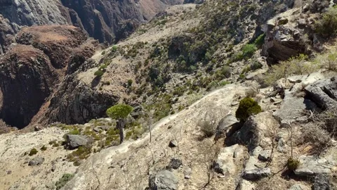 Rocky canyon cliffs and rugged mountain landscape viewed from above. 스톡 동영상 336868734