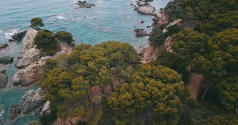 Rocky cape Stock Footage 147057347