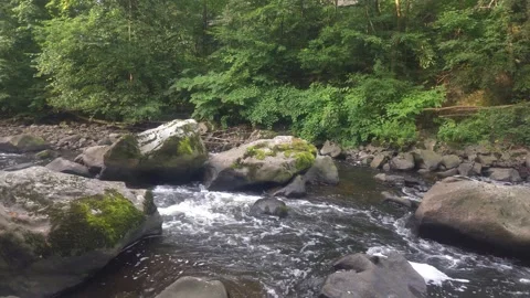 Rocky Chemnitz River with Flowing Water and Rapids in Saxony, Germany Stock Footage 345311587