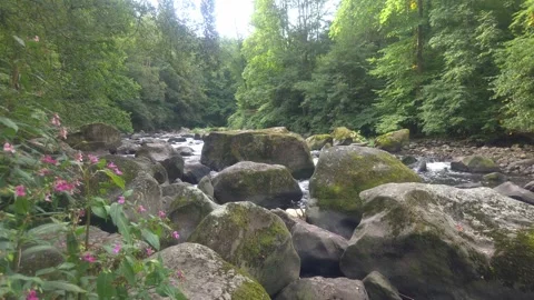 Rocky Chemnitz River with Large Mossy Boulders in Saxony, Germany Stock Footage 345311597