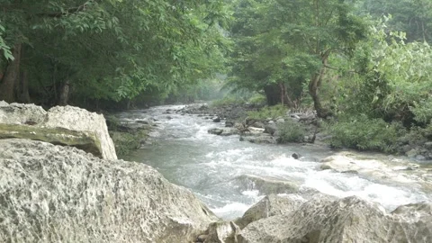 Rocky clear river in the forest Stock Footage 280892131