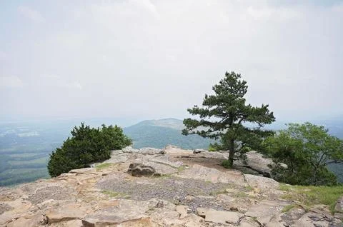 Rocky cliff edge with sparse trees overlooking a vast valley Stock Photos