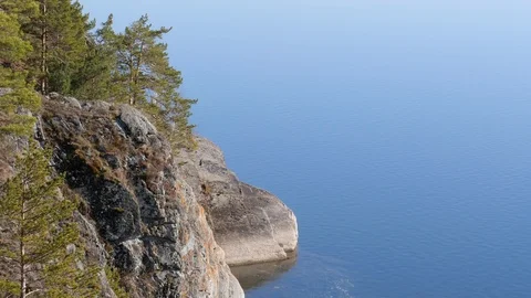 A rocky cliff with growing pine trees. Stock Footage 118285876