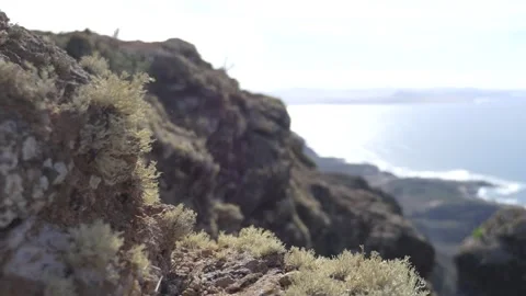 Rocky Cliff Macro to Ocean View Fast Focus Pull 스톡 동영상 331669711