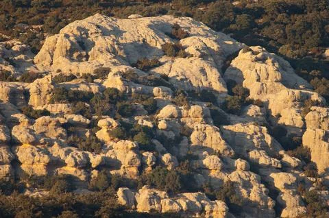Rocky cliff. Stock Photos