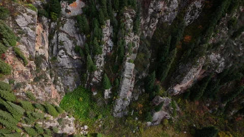 Rocky Cliff with Pine Trees Top View Stock Footage 321292376