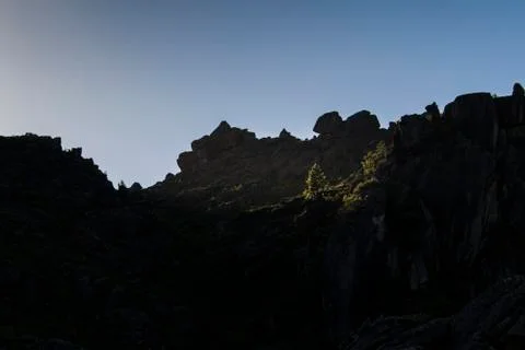 A rocky cliff in the shadow, with a pine tree 스톡 사진
