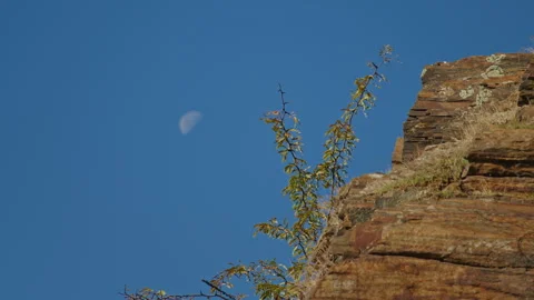 Rocky cliff with small branches against a clear blue sky and visible half-moon Vídeos de archivo 297572274