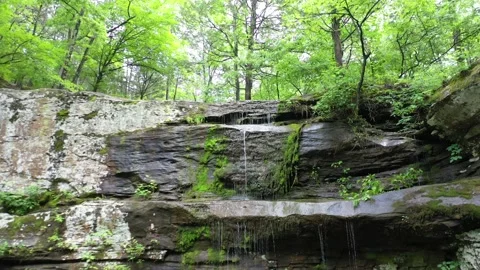 Rocky cliff tiny waterfall in dense green forest, dolly backward Video stock 156229235