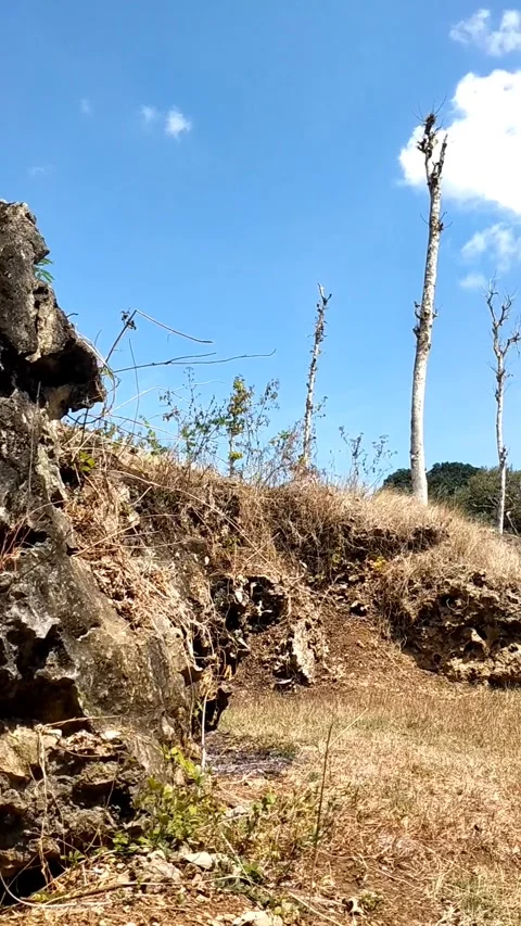 The Rocky Cliff Under the Blue Sky Stock-Footage 341797347