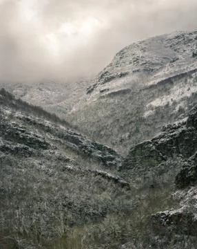 Rocky cliffs and forests before the imposing snowy mountains Stock Photos