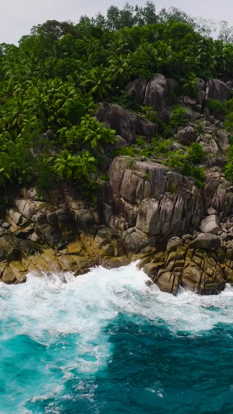 Rocky cliffs and tropical vegetation by the ocean. Seychelles, Mahe. Stock Footage 303471675
