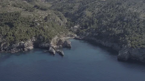 Rocky cliffs, green forest and sea, aerial drone footage of a Mallorca, Raw 4k Stock Footage 89893274