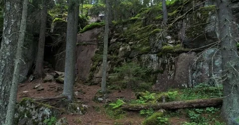 Rocky cliffs with moss and cave in the dark and green forest during summer day  Video stock 78803805