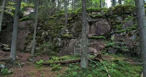 Rocky cliffs with moss and cave in the dark and green forest during summer day.  Video stock 78804354