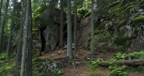Rocky cliffs with moss and cave in the dark and green forest during summer day  Stock Footage 78804756