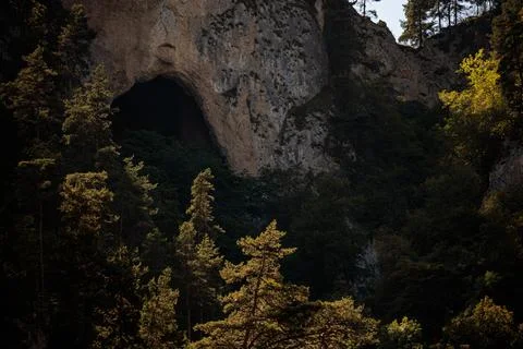 Rocky cliffs with tree-covered slopes and natural caves. Bright sunlight Stock Photos