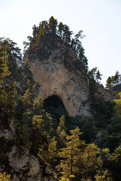 Rocky cliffs with tree-covered slopes and natural caves. Bright sunlight Stock Photos