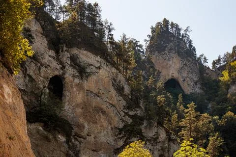 Rocky cliffs with tree-covered slopes and natural caves. Bright sunlight Stock Photos
