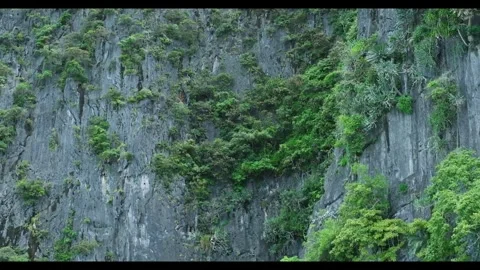Rocky cliffside covered in lush greenery, showcasing the natural beauty of 스톡 동영상 330164055