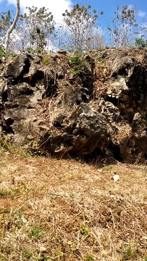 Rocky Cliffside in an Open Field Video stock 341797636