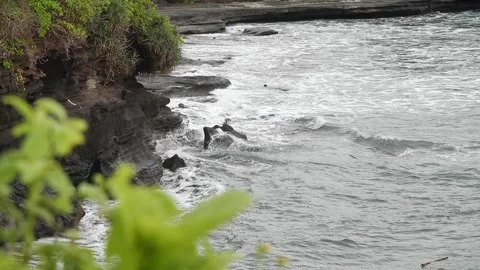 Rocky coast 26 Stock Footage 264574121