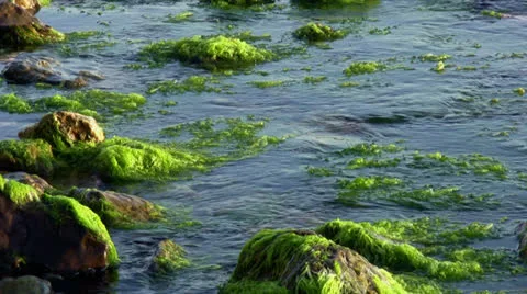 Rocky coast Stock Footage 22957665