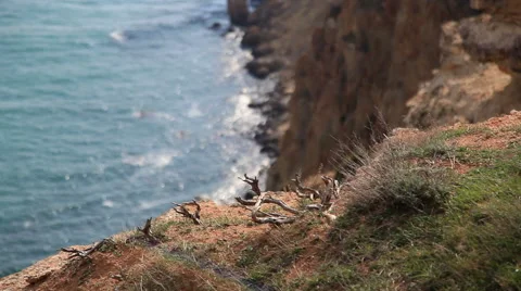 Rocky Coast Stock Footage 61690357