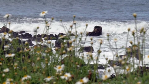 Rocky coast Stockbeeldmateriaal 72771861