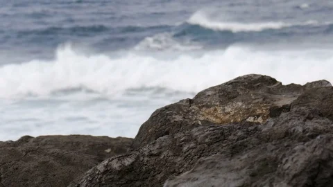 Rocky coast Stock Footage 72771913