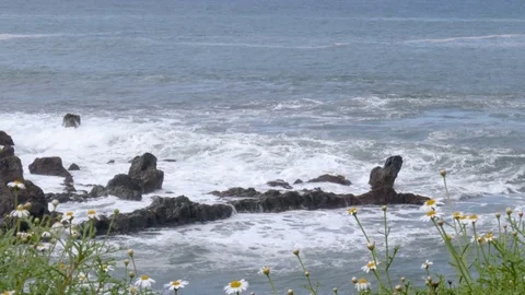 Rocky coast Stock Footage 72938280