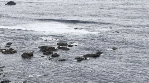 Rocky Coast Stock Footage 308039265