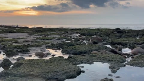 Rocky Coast Serene Waves sparse crowd Stock Footage 246932408