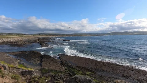 Rocky Coast Video Stock Footage 113784859