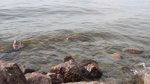 Rocky coastline of the bay with small waves Stock-Footage 317509108