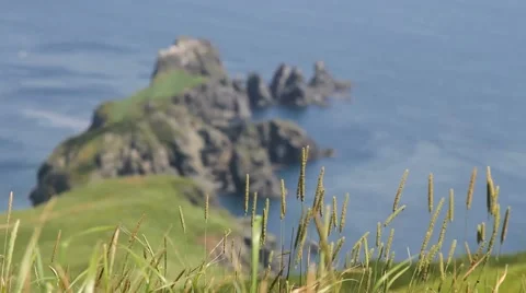Rocky coastline Stock Footage 54937931