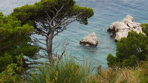 Rocky coastline lined with pine trees, waves breaking over the rock Stock Footage 96158527