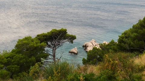 Rocky coastline lined with pine trees, waves breaking over the rock Stock Footage 97741126
