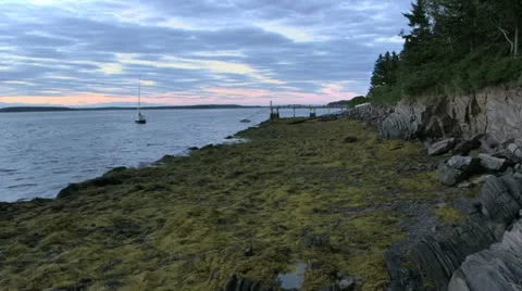 Rocky Coastline at Low Tide Stock Footage 11824601