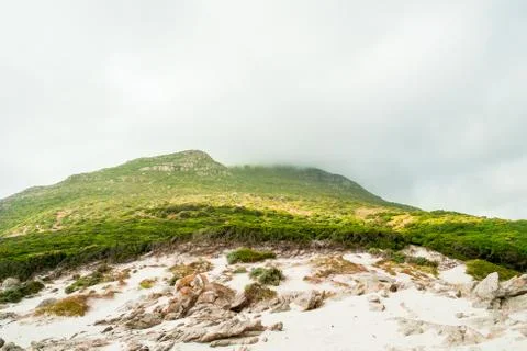 Rocky coastline Stock Photos