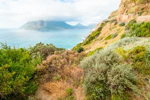 Rocky coastline Stock Photos