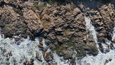 Rocky Coastline Top Down: Ocean Waves and Tide Pools Stock Footage 342303455