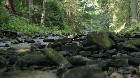 Rocky creek in the forest Video stock 73016733