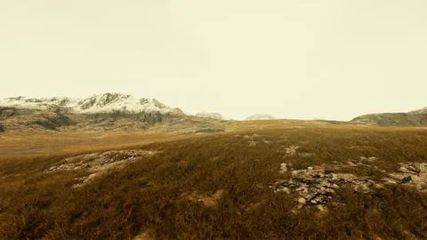 Rocky desert landscape with sparse vegetation and mountains peaks 스톡 일러스트